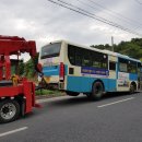 강원렉카 네이버블로그