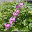 양구농장 이미지