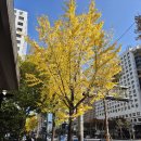 황금콩순두부 | [황금콩밭] 미쉐린 가이드 서울 2025 선정된 생두부 맛집 방문 후기 (마포 공덕 두부 맛집)