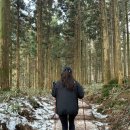 땡 마 트 | 제주 :: 한라산 성판악 월요일 등반 후기(26년 1월 중순)