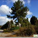 상예동-4 이미지