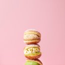 노티드동탄롯데