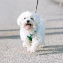 (주)해오름케어 이미지