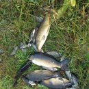 송현낚시터 이미지