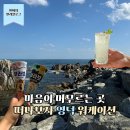 이마트24 영덕남정점 | 영덕 특화 워케이션 참여 후기 반려견 동반 여행 (4박 5일)
