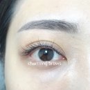 차밍브로우 이미지