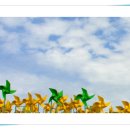 마음엔뜰 이미지