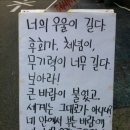 신세계투어 이미지