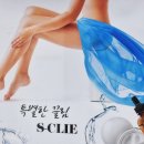 에스끌리에뷰티아카데미학원 이미지