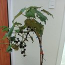 명당마을경로당 이미지