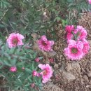 경상남도 수목원(열대식물원) 이미지