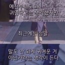돌리샵 네이버블로그