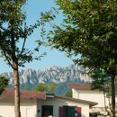 설악밸리 이미지