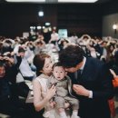 빛이물들다