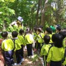 사직공원 유아숲 뉴시스
