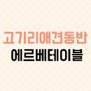 코지펫 | 용인 고기리 애견 동반 카페 에르베 테이블 찐 후기