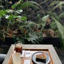 크래커스 | ☕ 제주 서귀포 감성 카페 | 크래커스 방문 후기 🌿