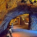 온평동로 이미지