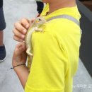 풍뎅이 별관 이미지