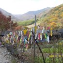 표충사2 이미지