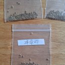 파슬리 발송 이미지