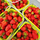 원광농장 이미지