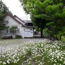 평창물소리펜션 이미지