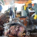 경남가리비수하식수산업협동조합 이미지