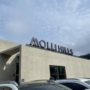 몰리힐스(MOLLI HILLS)