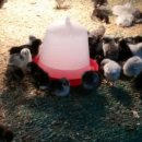 구례청계 이미지