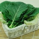 웰빙녹즙 - 서구 | 웰빙녹즙