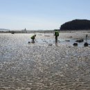 베이테라스 이미지