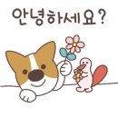 펫택시119 이미지