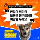 📢 대모팀을 모집합니다! 🙏🐾 이미지