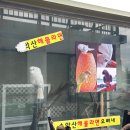 제주 송악산맛집 송악산해물라면오빠네본가 본점
