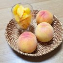 장호원한의원 이미지