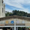 디아크리조트 | 여수 가족 펜션 추천 | 디아크리조트 수영장 바베큐장 | 솔직후기