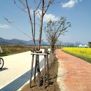 낙동강체육공원 축구장 이미지