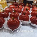 소대마보건진료소 | 남한산성 카페 | 경성빵공장 남한산성점, 사과빵이 유명한 숲속 대형 베이커리 카페