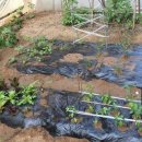 이샘공부방 이미지