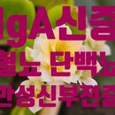 신증행정사 이미지