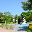 주암호 생태습지 이미지