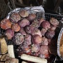 펜션 데일리 이미지