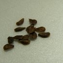 상식농장 이미지