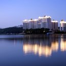 블루아라(I) 이미지