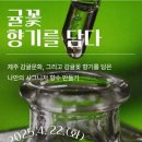 향기를담다 뉴스제주