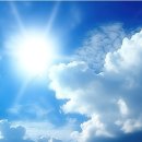 옵틱스안경 이미지