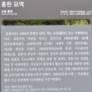홍한 묘역 이미지