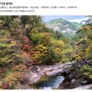 주)오색여행사 | 가을만끽 설악산 주전골 단풍트래킹, 알록달록 천년고찰 수타사 패키지 버스투어상품 후기