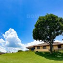 강림그린빌라 | 필리핀 골프 마닐라 스플랜디도cc &amp; 세븐데이즈풀빌라 숙박